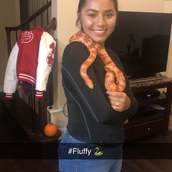 Meet your Posher, Miriam - Picture 3 of 6